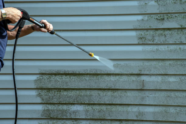 Best Local Pressure Washing Services  in Rk Forest Village, PA